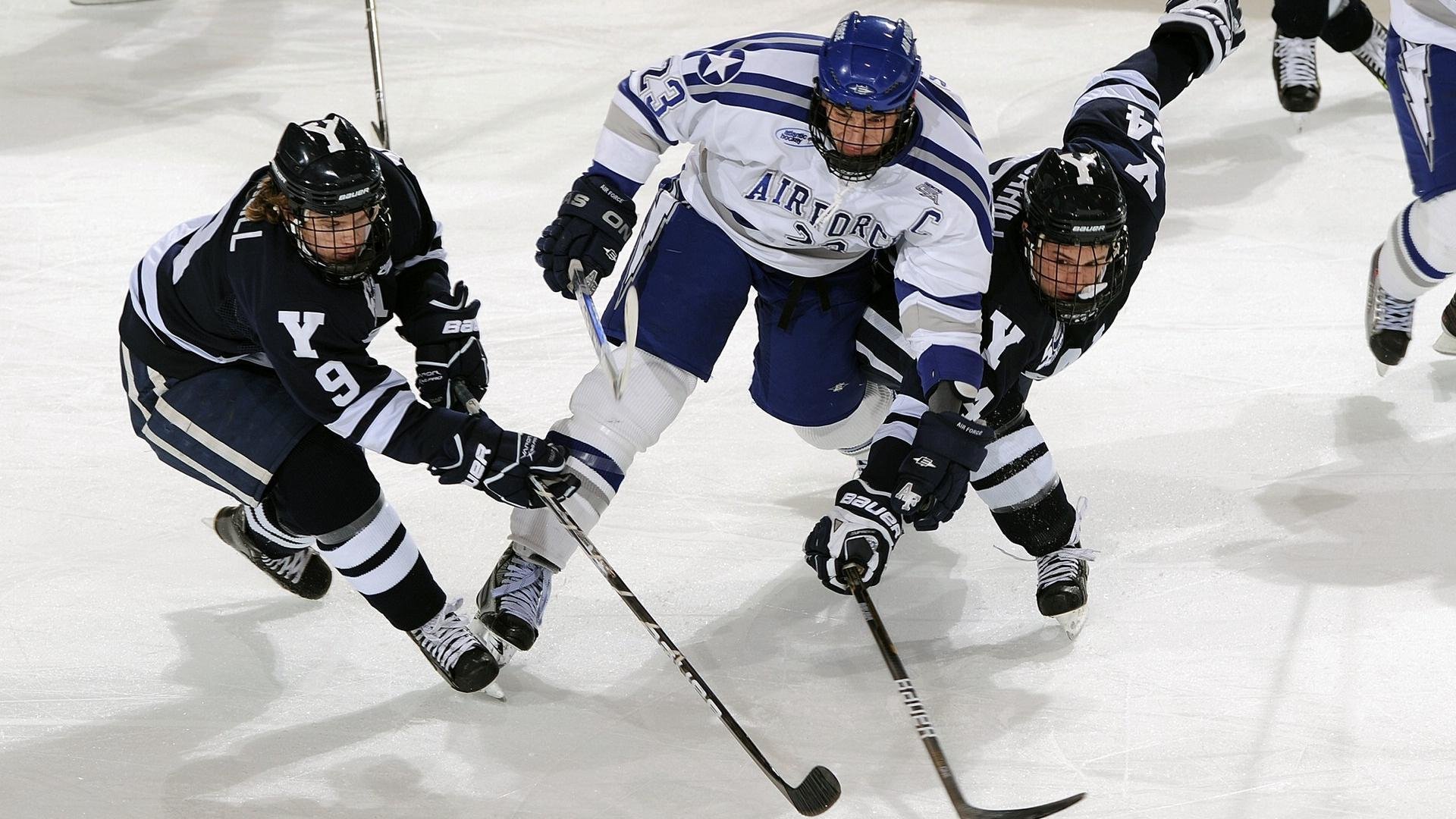 开云在线直播-德甲俱乐部推出新合作活动促进青训发展，德甲青训最好俱乐部